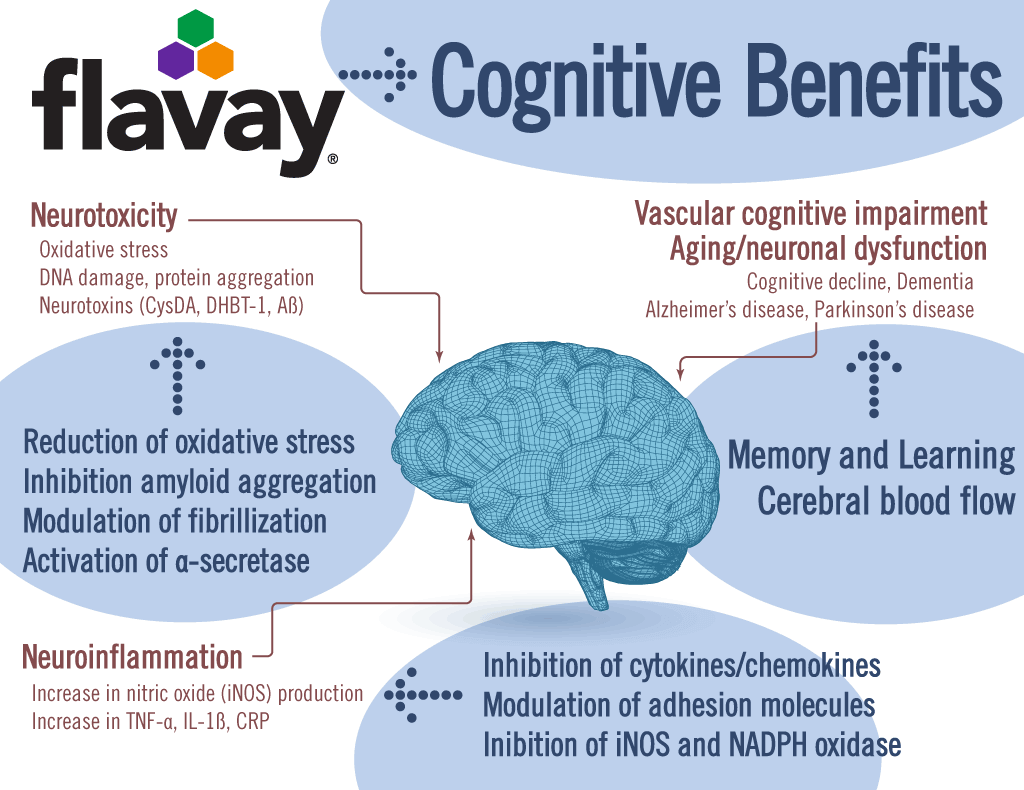 Flavay protects the brain in multiple ways.