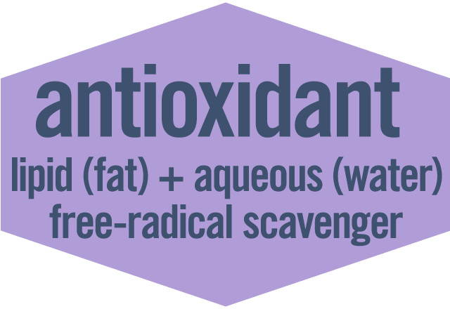 #4 Antioxidant protection for both lipid (fat) and aqueous (water) phases of oxidation, free radical scavenger